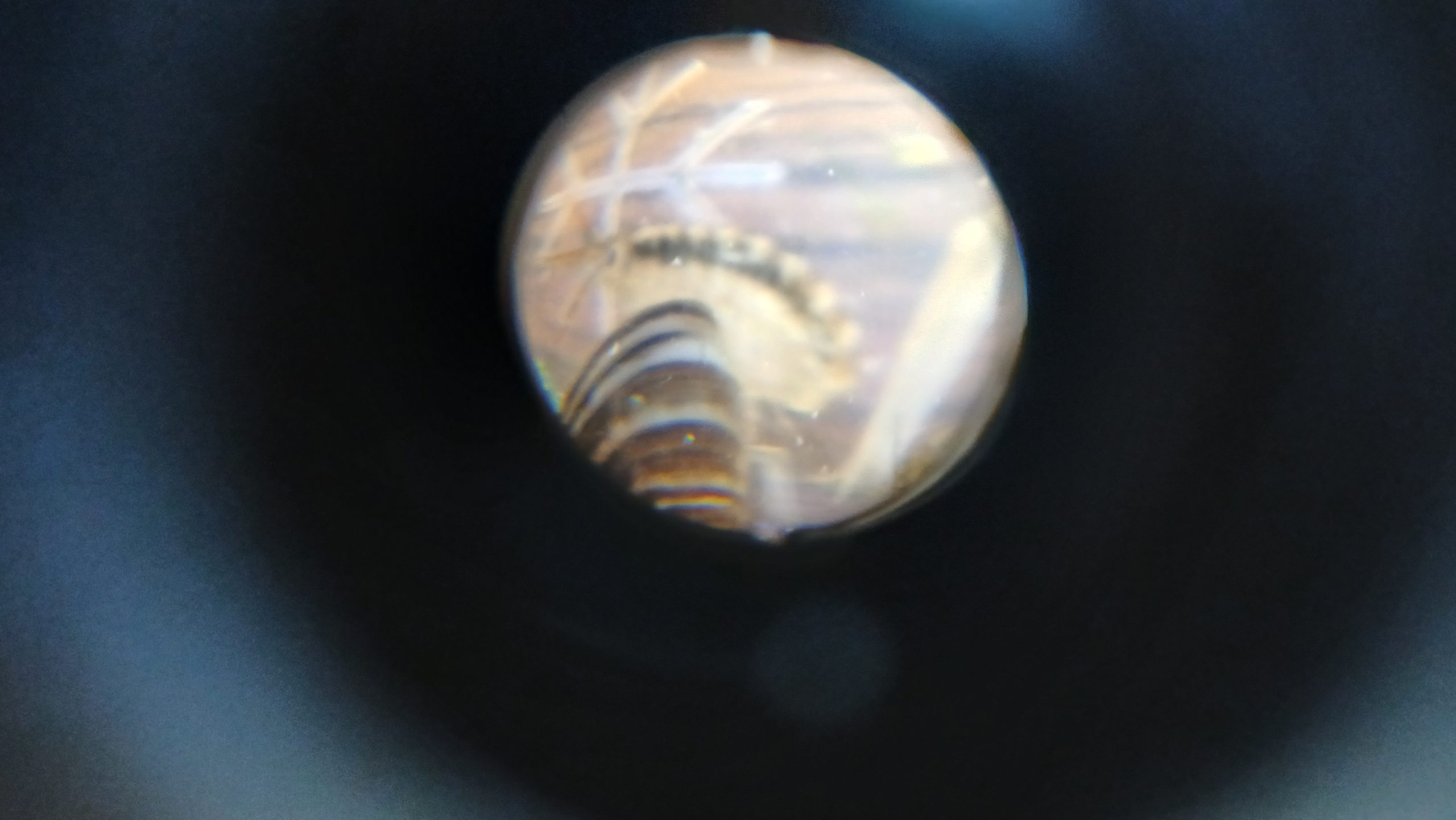 20250816_110727
