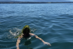 Screenshot 2025-11-25 at 11.20.03